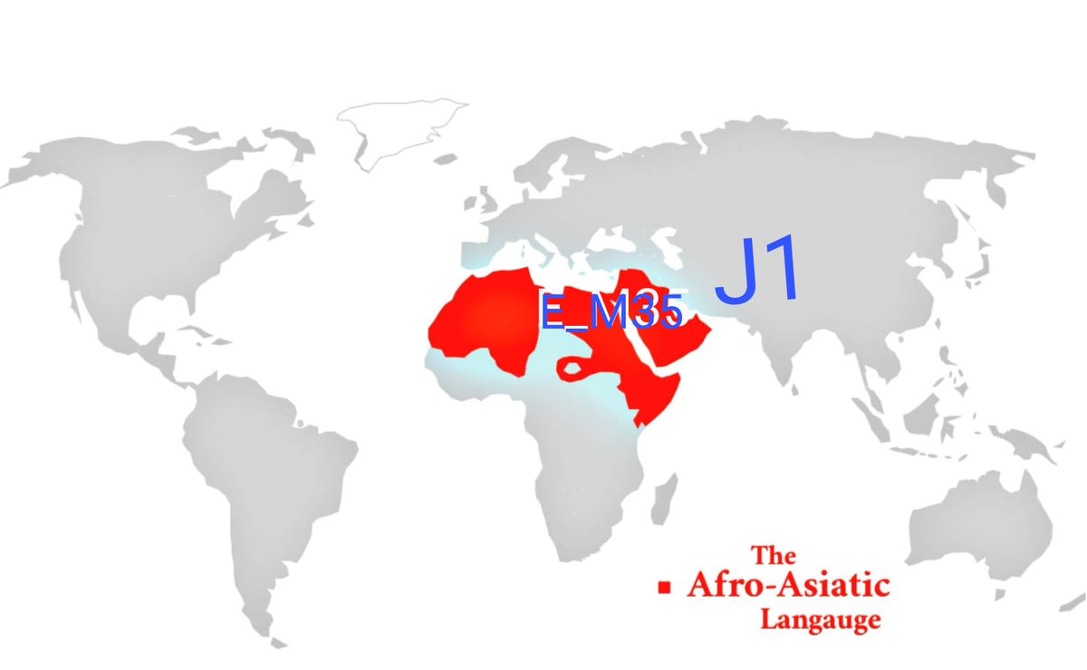 0552627206MMM's tweet photo. متابعي #الحمض_النووي #DNA
السلالة الأفروآسيوية #E_M35
 موطنها الأصلي الجزيرة العربية وامتدادها شمال وشرق أفريقيا باللون الأحمر
والسلالة القوقازية الهندية #F_J1 شرق جزيرة العرب
والعرب هم سكان الجزيرةالعربية الأصليين ابتداء بقوم نوح ثم عادثم ثمودثم قوم إبراهيم وقوم لوط ثم قوم شعيب https://t.co/BK5aaZhTrY