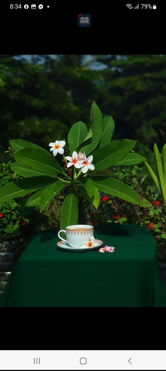 BibiMarketer's tweet image. I will do kindle book, ebook promotion and amazon book Marketing.
Welcome to My Book Promotion and amazon book marketing Service.
Are you looking someone to promote your book and increase sales? I must say that you are in the right place.
morshidaa194@gmail.com
#BookMarketing