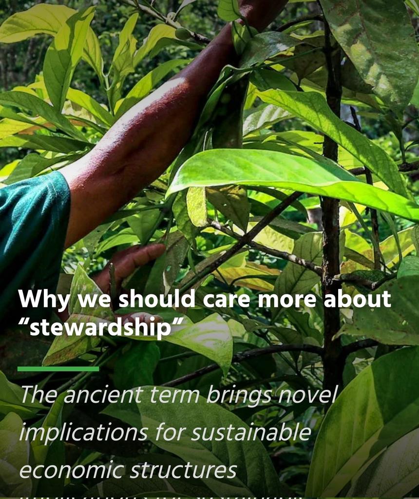 "Building an economy based on stewardship is a huge task...We can start by guaranteeing the land rights of Indigenous Peoples and local communities and by drawing lessons from their good resource management practices," <a href="/gab_lipton/">Gabrielle Lipton</a> writes for <a href="/GlobalLF/">Global Landscapes Forum (GLF)</a>.

news.globallandscapesforum.org/58775/why-we-s…