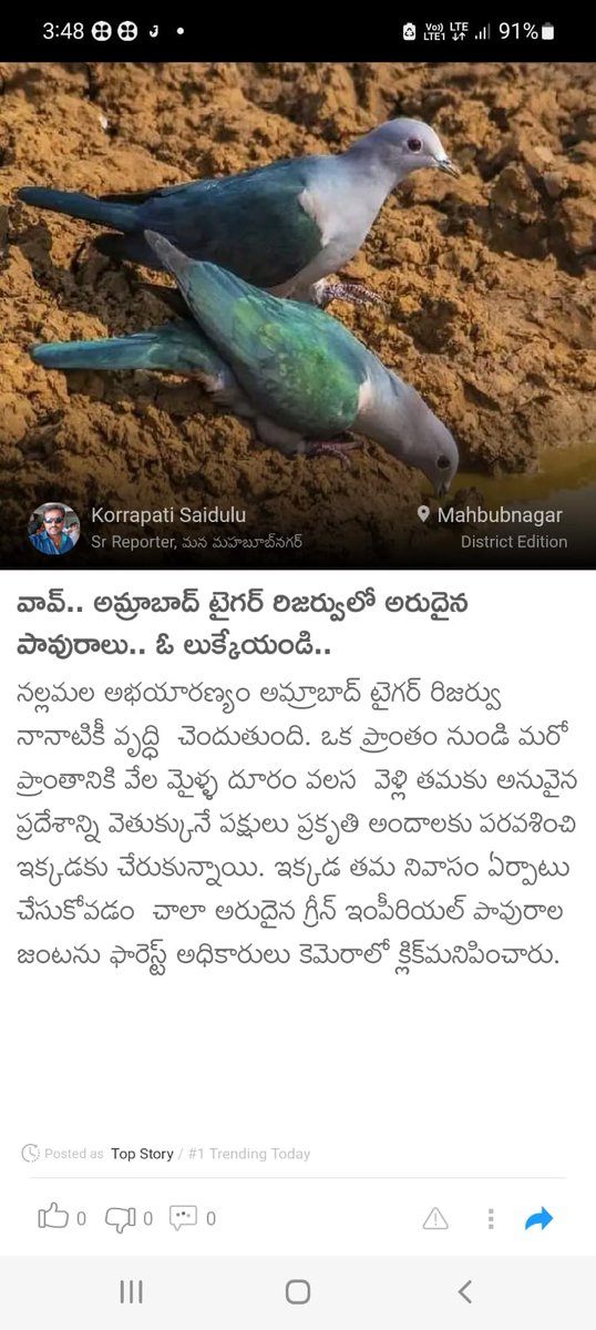 KORRAPATISAIDU1's tweet photo. @AmrabadTiger 
@rohithgopidi
@telanganafacts https://t.co/6VG8ZAerNP