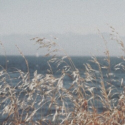 ♡ tweet media
