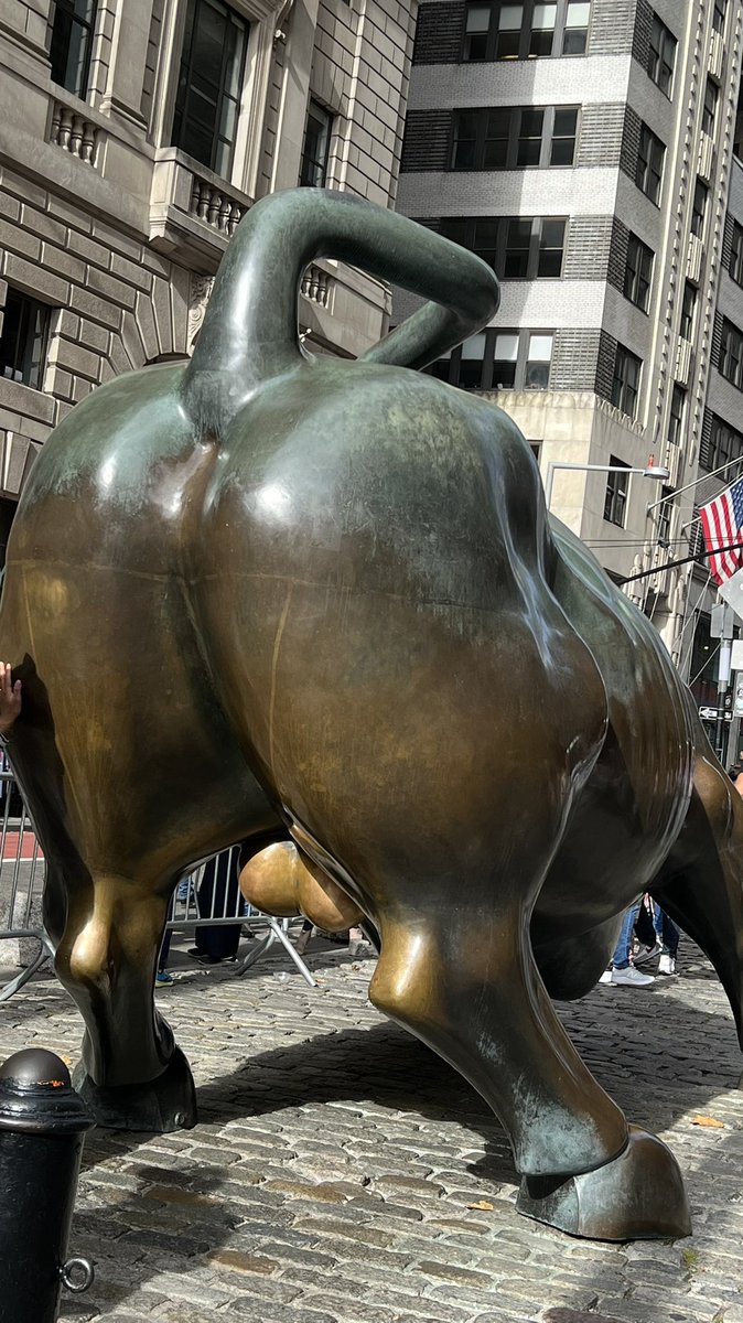 The Charging Bull or Bull of Wall Street is the bronze  scuplture that symbolizes financial optimism and prosperity!

It is a popular destination that stands on Broadway just north of Bowling Green in the Financial District ofManhattan in New York City.
#NYC