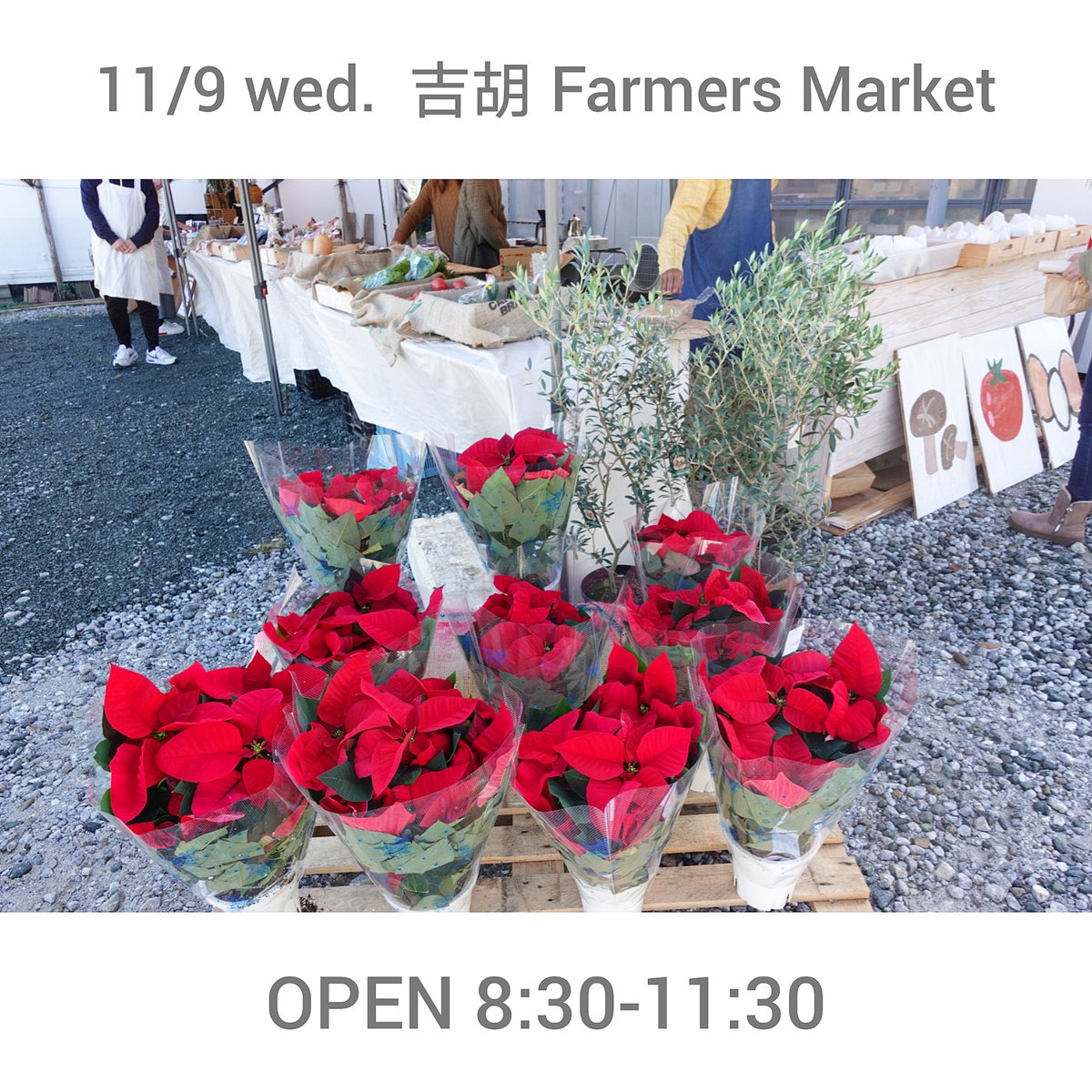 RUGRATkids's tweet photo. 🌾11/9(水)8:30-11:30🌾
『吉胡 FAMERS market』に出店します

開催場所:田原市吉胡町高畑24-15
弁当こも田 駐車場

地元の新鮮な野菜、タルト、コーヒー
ポインセチアetc...
名物『こも田さんのカレーパン』販売もあります♪
#産直 #東三河イベント #東三河マルシェ 
#田原市 #愛知 https://t.co/NBFziD2VgM