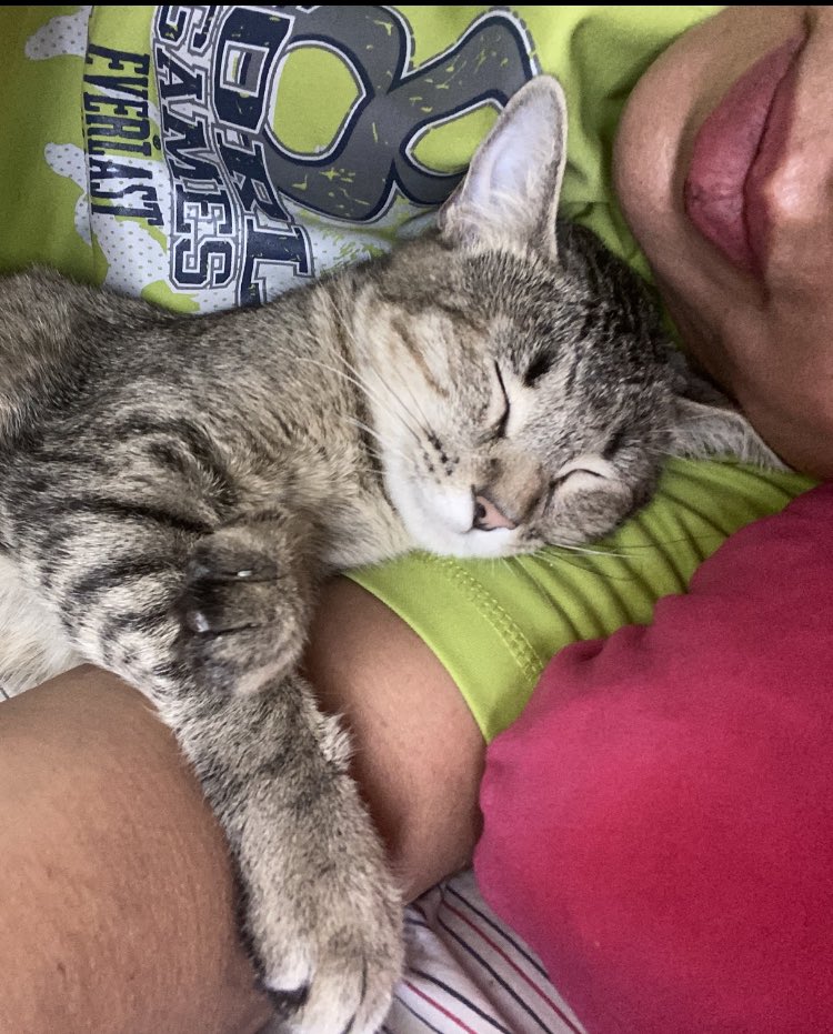 mar18gam's tweet photo. @Tiofelino Toma mi brazo como Almohada 🥰 https://t.co/mOYblGfH7W