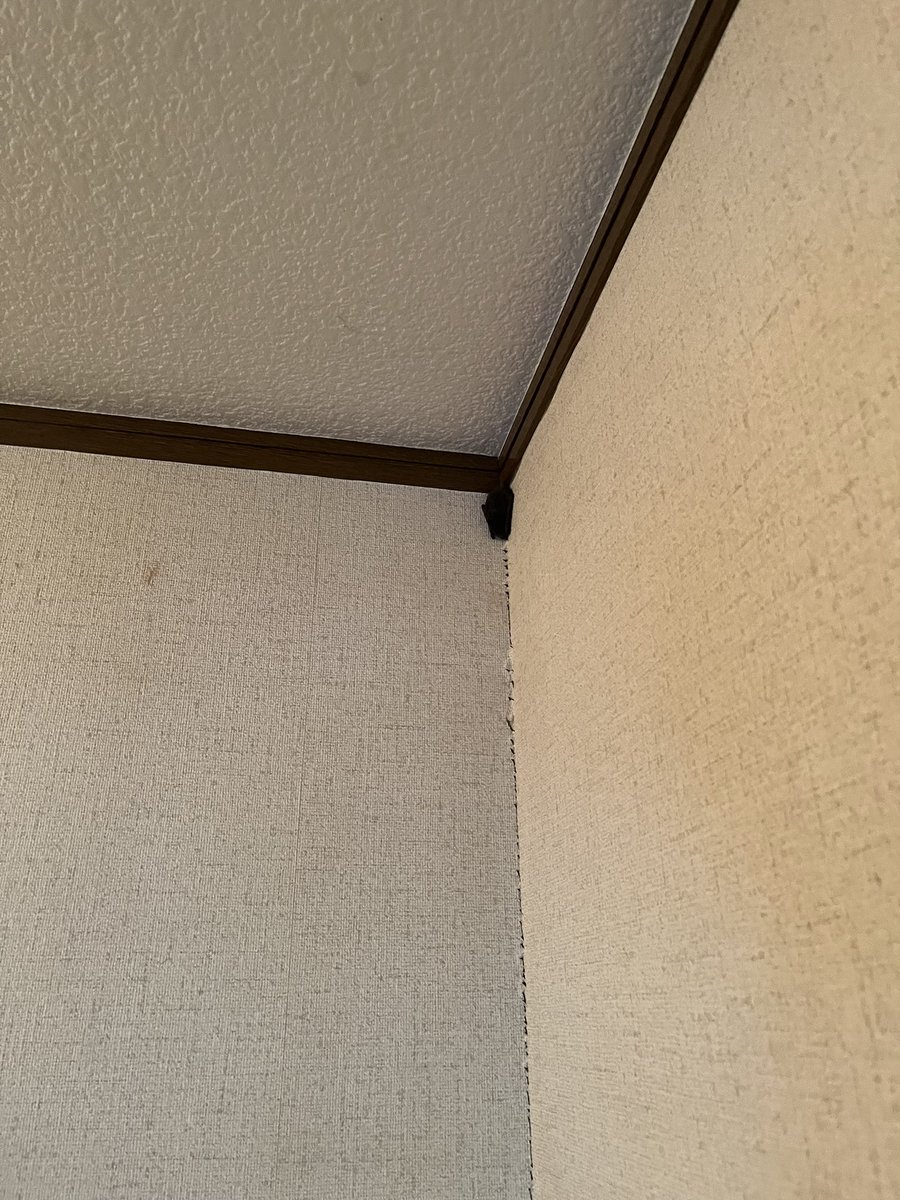 お前さん何処から入ってきたんだ