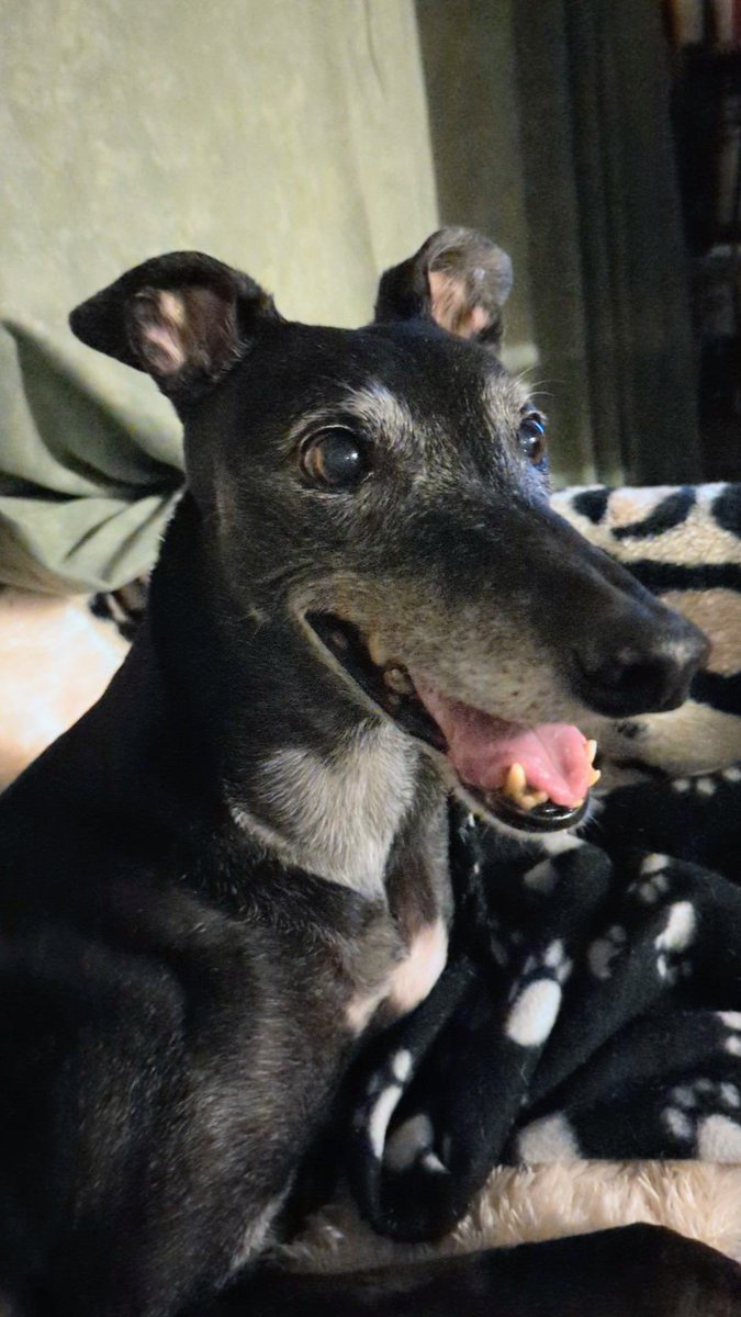 Peaches💔2❤️‍🩹Queenie tweet media