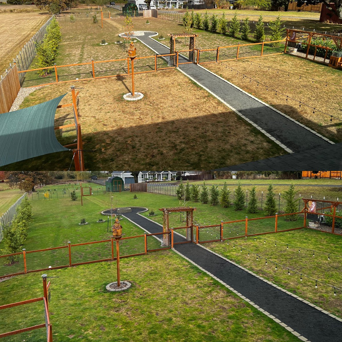 13 days of difference, and it didn’t even rain every day. #oregon #willamettevalley