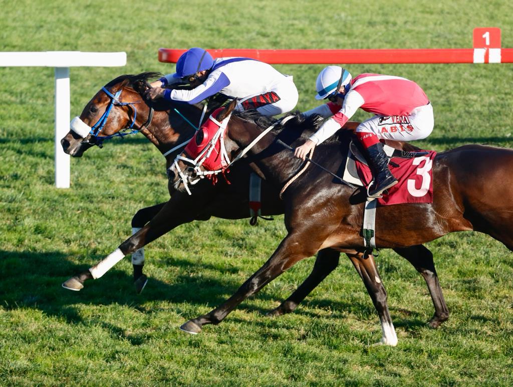 inşallah hitit te altınsima