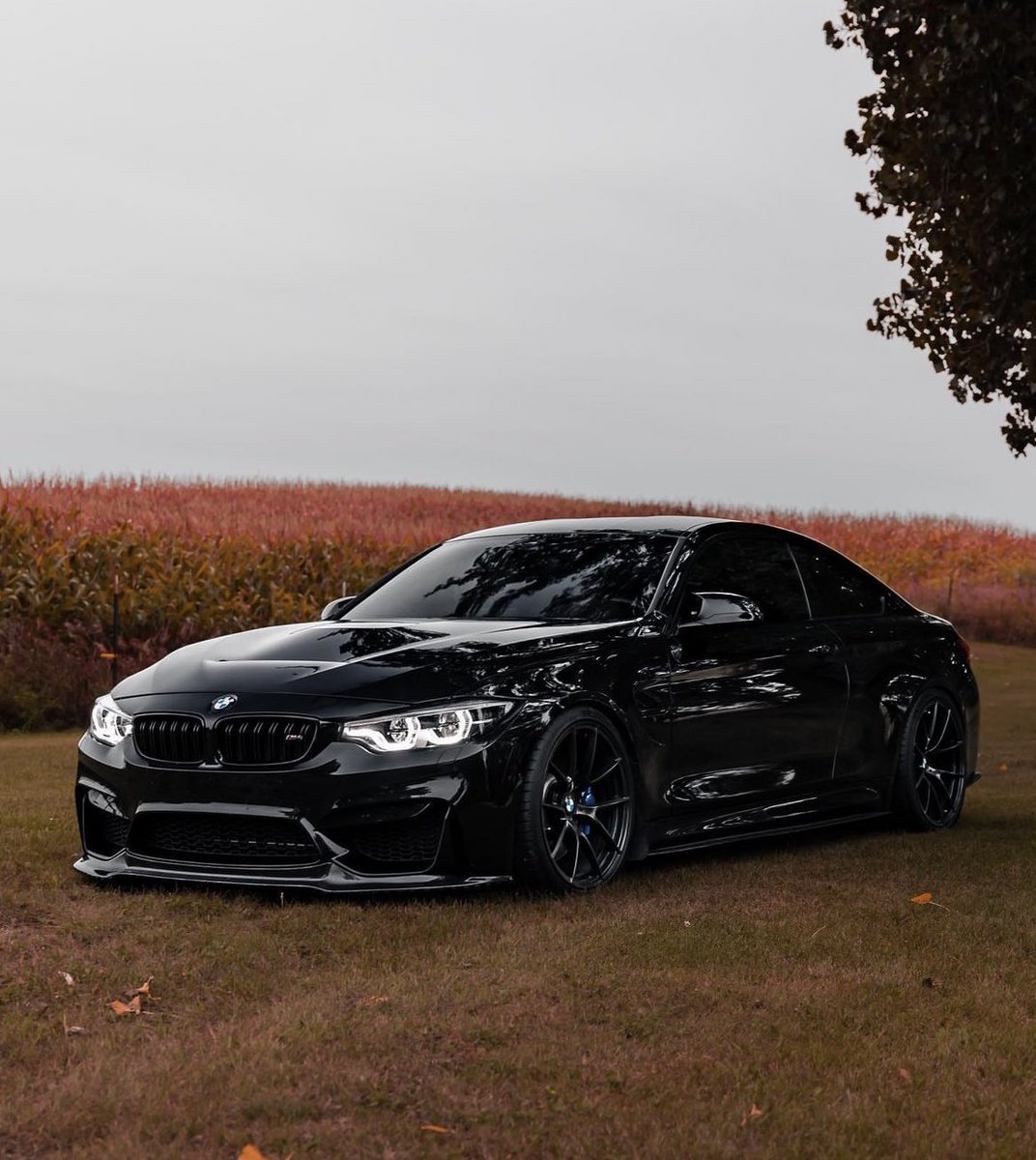 BMW M4 🍂