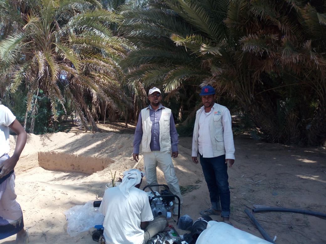 ضمن مشروع تعزيز المرونه المؤسسيه والاقتصاديه في اليمن مكون الخضارSIERY
استمرار النزولات الميدانيه لتركيب الملش الزراعي في حقول المستفيدين وتركيب شبكات الري في مديرية القطن