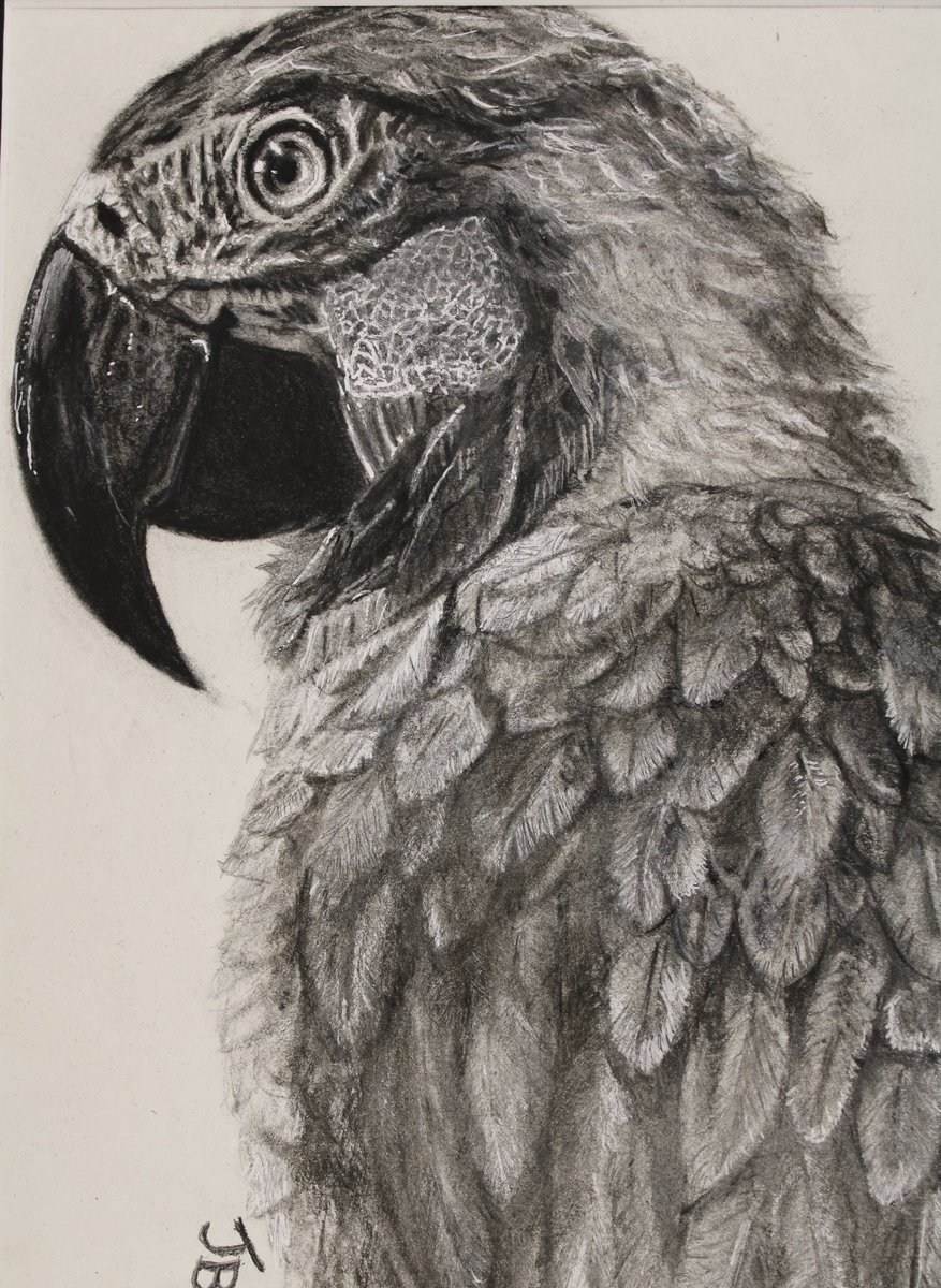 traumaartguy's tweet photo. Some of my first drawings https://t.co/mDHcVOArcl