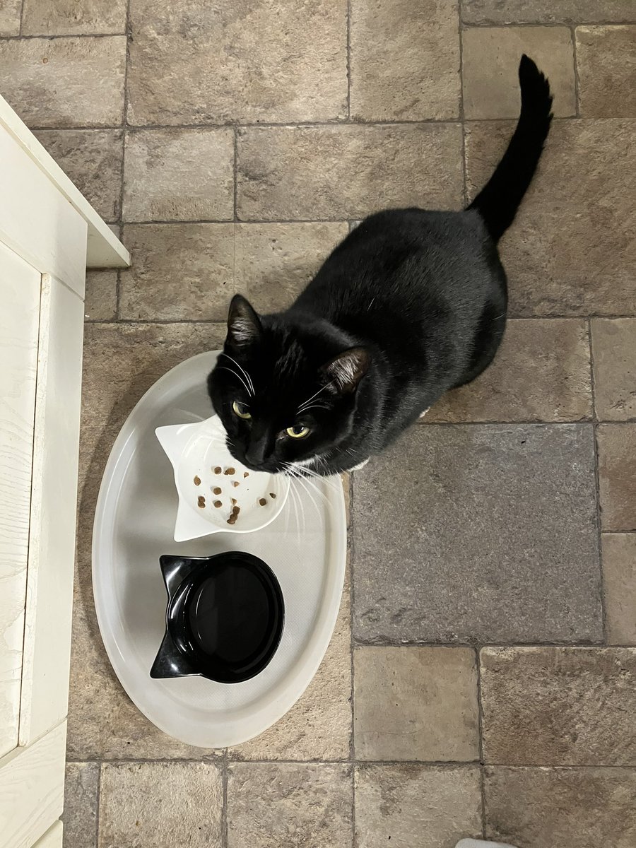 Danie Ware ON BLUESKY tweet media