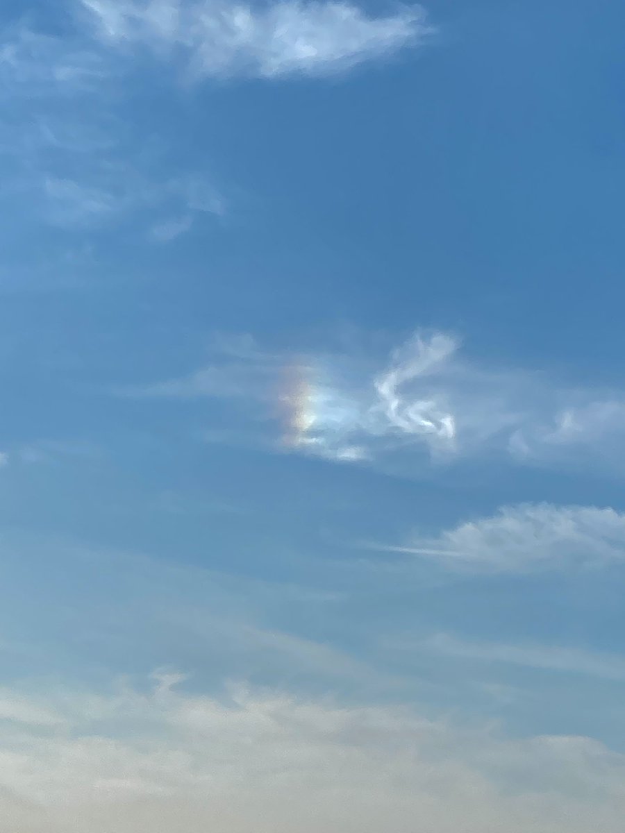 트친분들~~ 오늘 밖에 산책하러 가는데 
조그만한 무지개가 떴어여🌈
오늘 트친분들의 하루도 맑았길 (˃̶᷄‧̫ ˂̶᷅๑ )