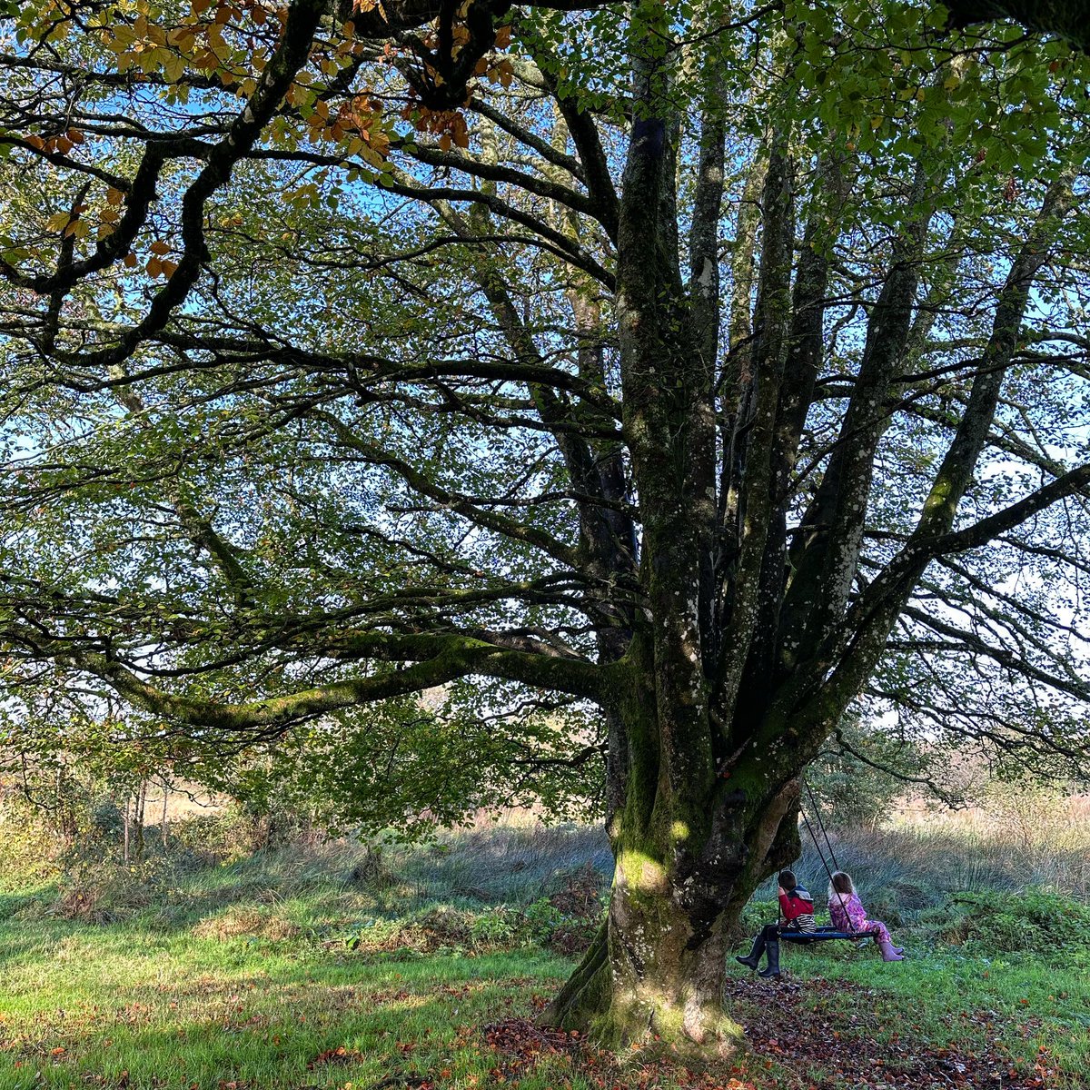 OutdoorDadNI's tweet photo. A study from the Journal of Environmental Psychology has found that kids who play #outside are happier, more attentive, and less anxious than kids who spend more time indoors. 

The study involved more than 15,000 people across 18 countries. 

📖 https://t.co/cEWnJLMROw https://t.co/D2SwlZ1miD