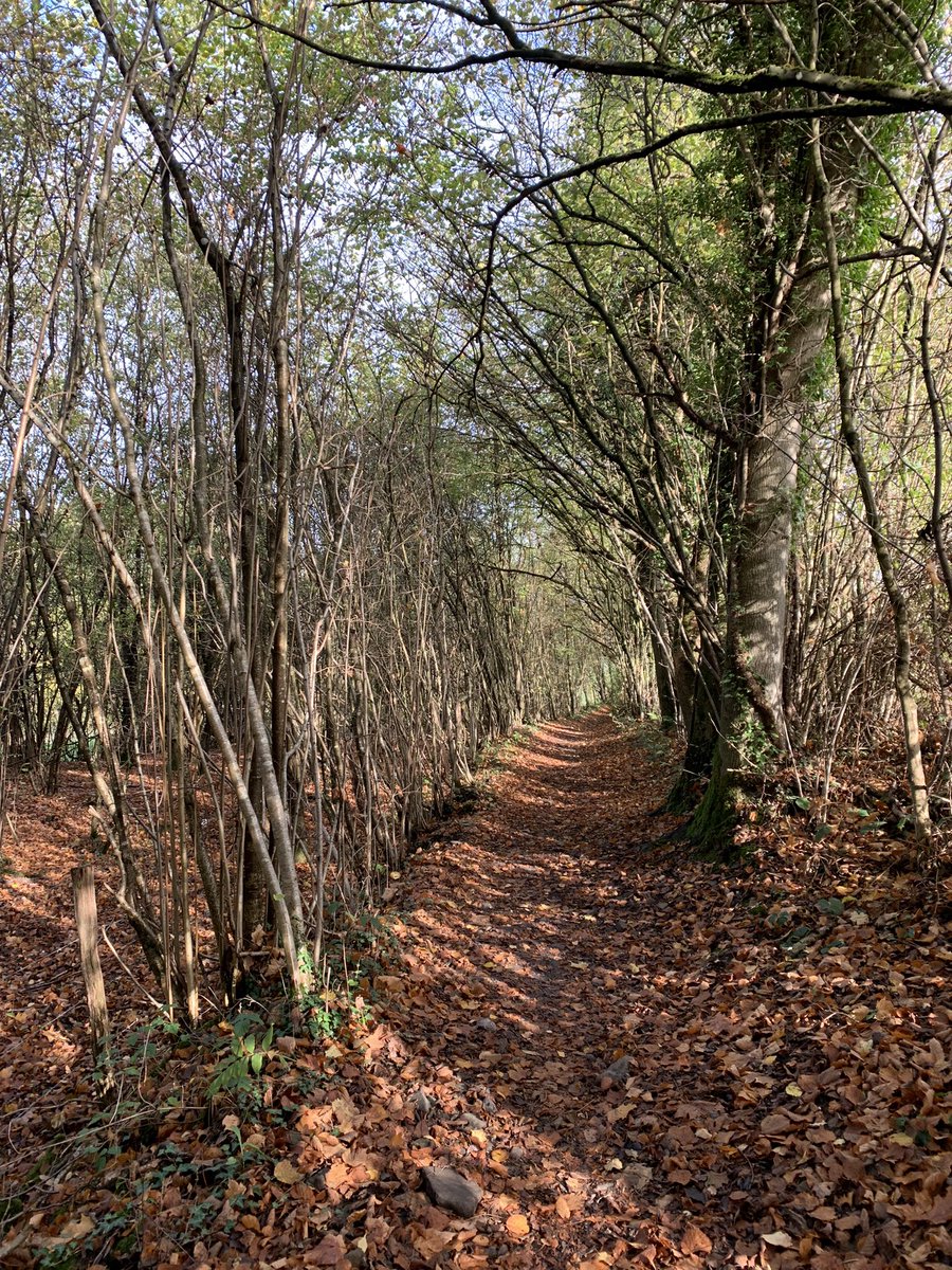 FloGravar's tweet photo. #BaladeSympa entre #ourthe et #ambleve. 18km proposés par l’appli visiorando. Que la #wallonie est belle. #sprimont #hamoir #comblainaupont #provincedeliege https://t.co/6jJq79LRxl