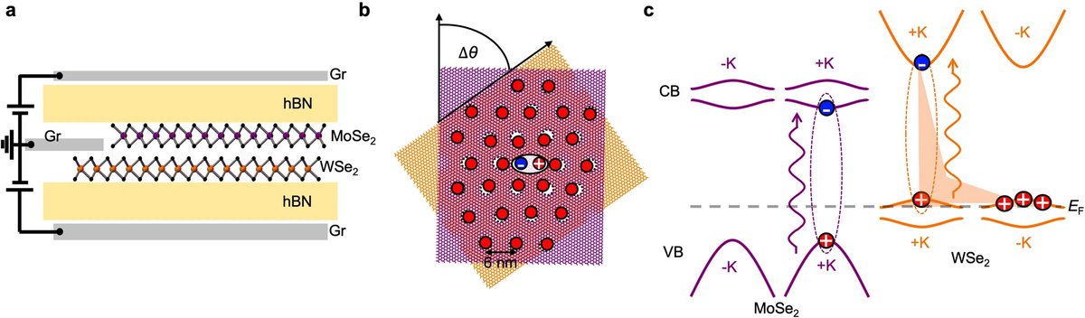 New paper in #npj2dmaterials <a href="/Nature_NPJ/">npj Journals</a>: Exciton-polarons in the presence of strongly correlated electronic states in a MoSe2/WSe2 moiré superlattice by Aidan J. Campbell et al. rdcu.be/cY391