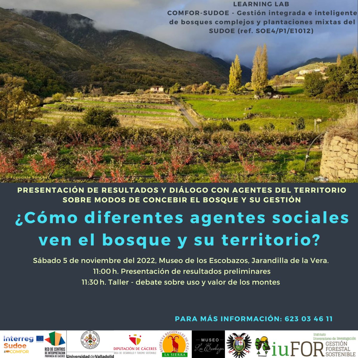 Ayer tuvo lugar en nuestro @museo_i de #jarandilladelavera la presentación de resultados y dialogo con agentes del territorio sobre modos de concebir el bosque y su gestión. 

#comforsudoe 
#InterregSudoe 
#gestionterritorio

#Extremadura 💚🤍🖤