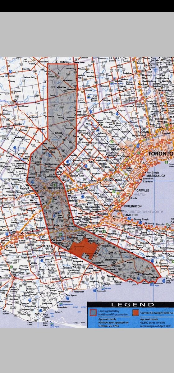 Sherry Saevil tweet media