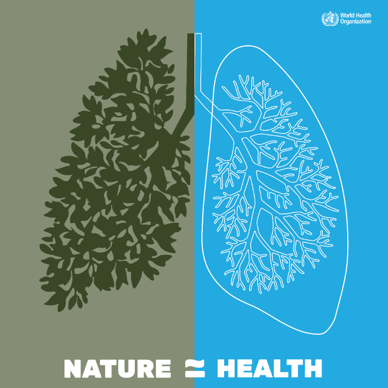 WHO's tweet photo. 🫁 The air we breathe. 
🍲 The food we eat. 
🚰 The water we drink. 
🌆 The environment we live in. 
🔥 Climate change &amp; destruction of natural habitats. 
⬇️ 
All of these impact our health.  

#HealthForAll: means protecting nature 🌎🌍🌏 

More on #COP27 ⬇️