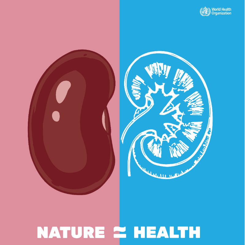 WHO's tweet photo. 🫁 The air we breathe. 
🍲 The food we eat. 
🚰 The water we drink. 
🌆 The environment we live in. 
🔥 Climate change &amp; destruction of natural habitats. 
⬇️ 
All of these impact our health.  

#HealthForAll: means protecting nature 🌎🌍🌏 

More on #COP27 ⬇️
