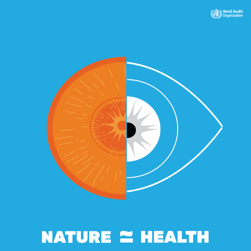 WHO's tweet photo. 🫁 The air we breathe. 
🍲 The food we eat. 
🚰 The water we drink. 
🌆 The environment we live in. 
🔥 Climate change &amp; destruction of natural habitats. 
⬇️ 
All of these impact our health.  

#HealthForAll: means protecting nature 🌎🌍🌏 

More on #COP27 ⬇️