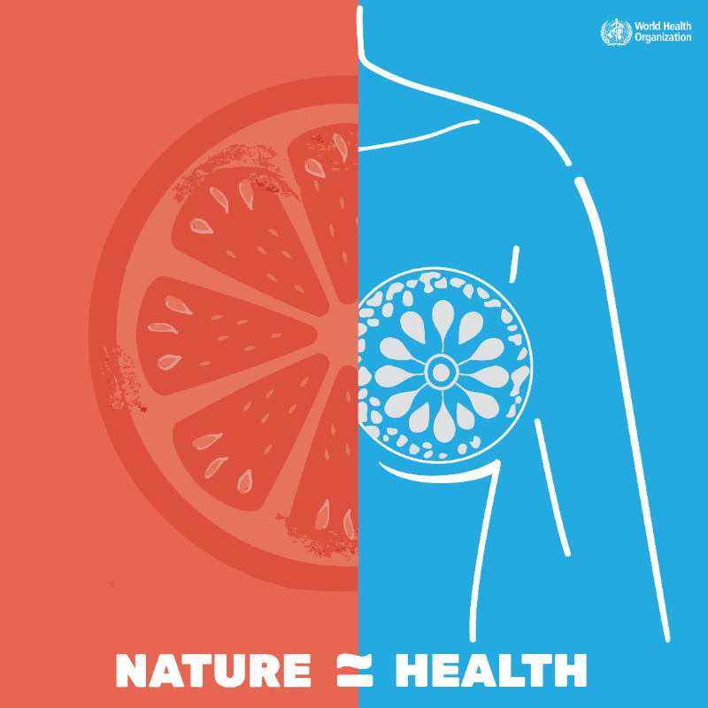 WHO's tweet photo. 🫁 The air we breathe. 
🍲 The food we eat. 
🚰 The water we drink. 
🌆 The environment we live in. 
🔥 Climate change &amp; destruction of natural habitats. 
⬇️ 
All of these impact our health.  

#HealthForAll: means protecting nature 🌎🌍🌏 

More on #COP27 ⬇️