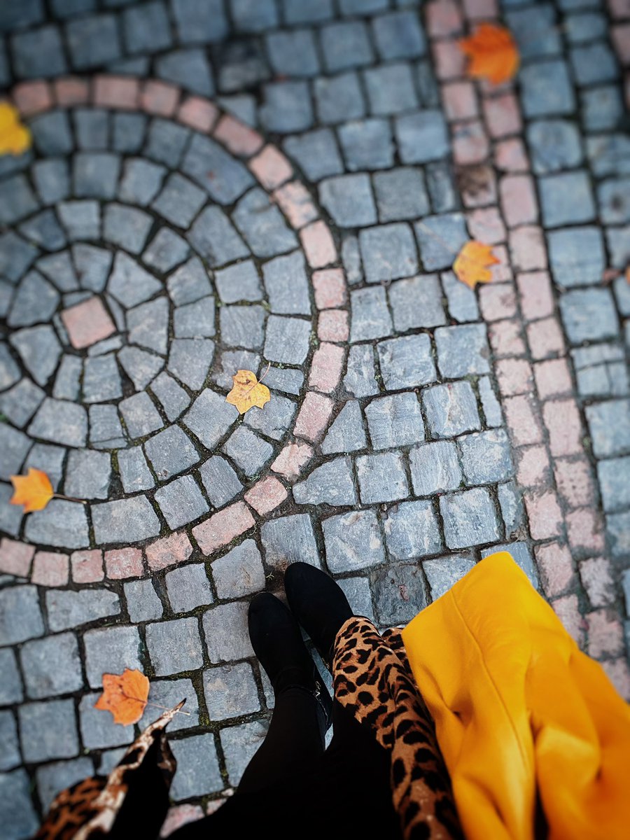 HAPPY SUNDAY 
Pic ©️ Rosa Mayland.
#Shoes #ShoeSelfie #Autumn #Fall #Leopard #Fashion #Style #Leaves #Photography