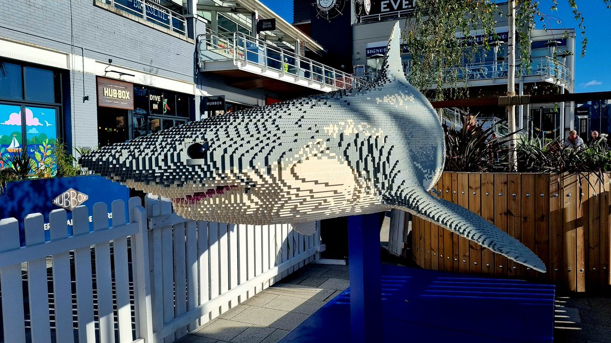 Think it said its name is Feargal... #CityLifeCardiff