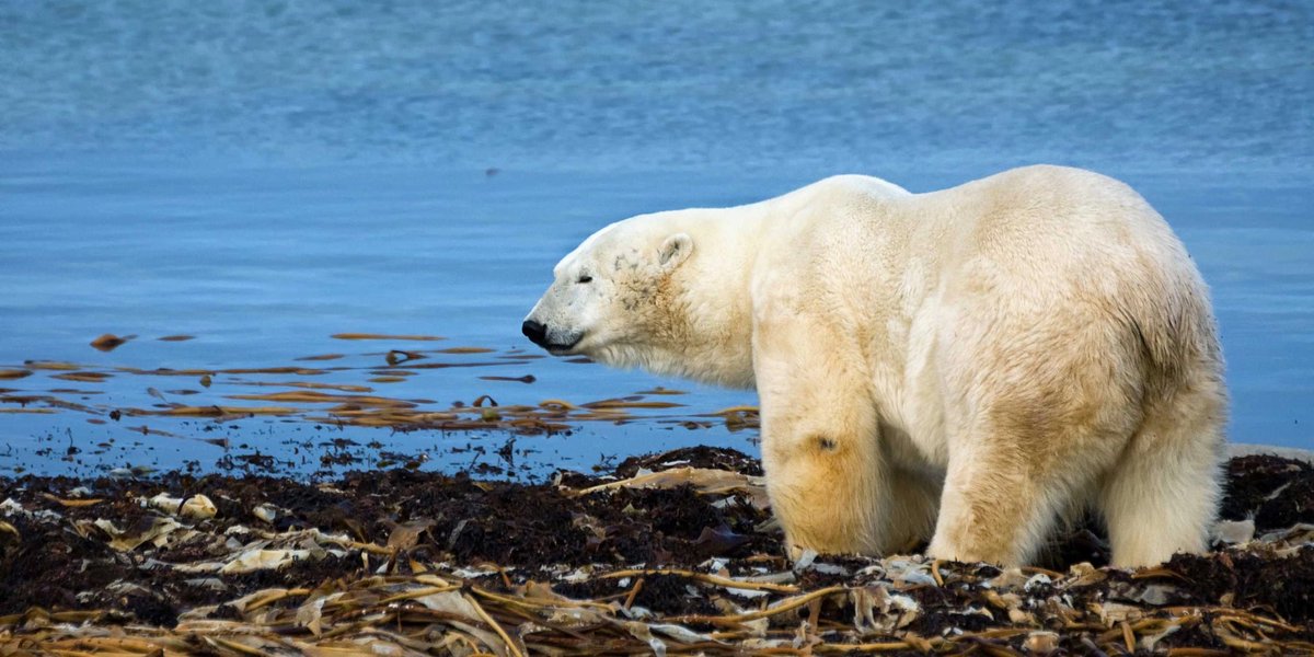 Here are 5 ways to help countries cope with the climate crisis:

1. Early warning systems
2. Ecosystem restoration
3. Climate-resilient infrastructure
4. Water supplies and security
5. Long-term planning

is.gd/C7mQ2N 
#ClimateAction #ActNow #COP27