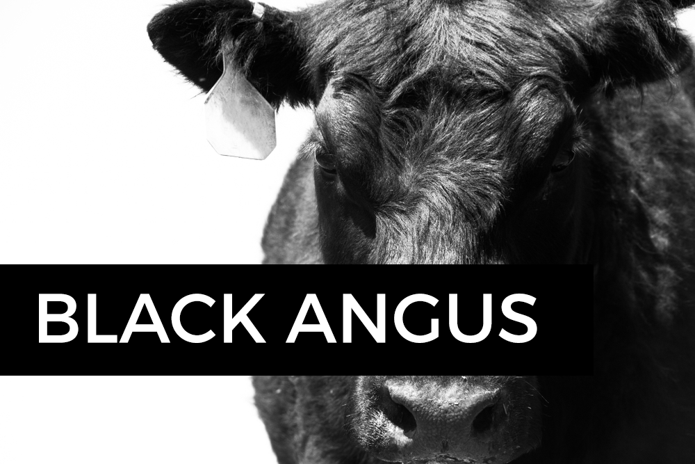 kuhteilen's tweet photo. Angebot: Weihnachtsrind 2022 🌲🚀 Black Angus
https://t.co/jr4tUIziIc

SFr. 159.00 anstelle von SFr. 189.00 https://t.co/8nas9Gey3P