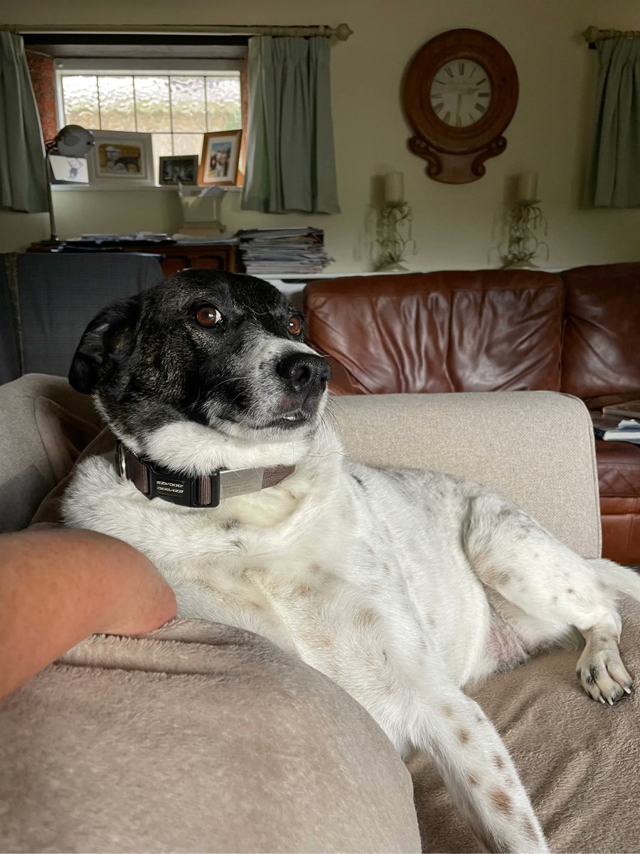 RedWPC's tweet photo. That judgemental look! https://t.co/qF3wrm7l7P