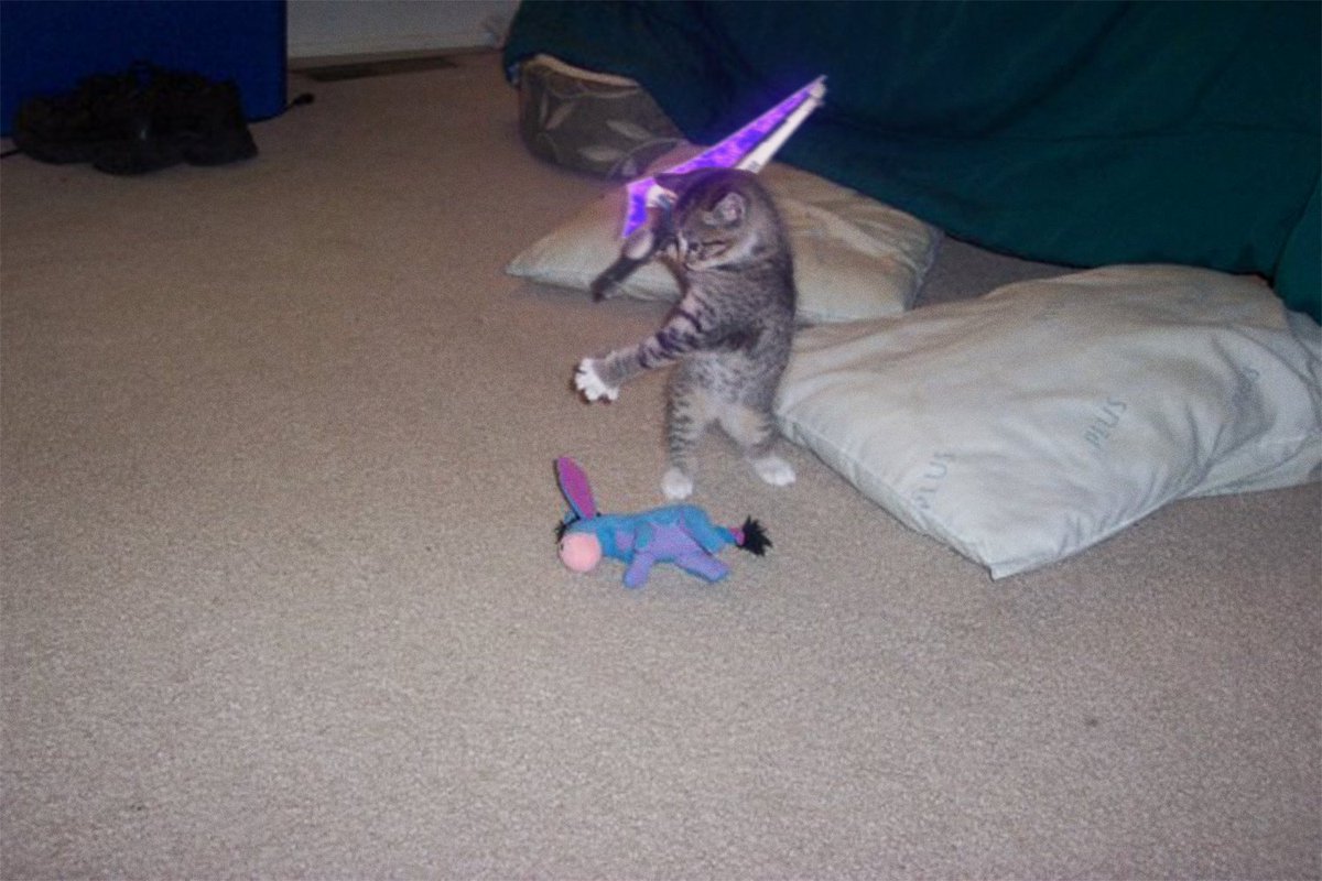 oddmb_'s tweet image. editing the other half to cat pics everyday until I forget #58