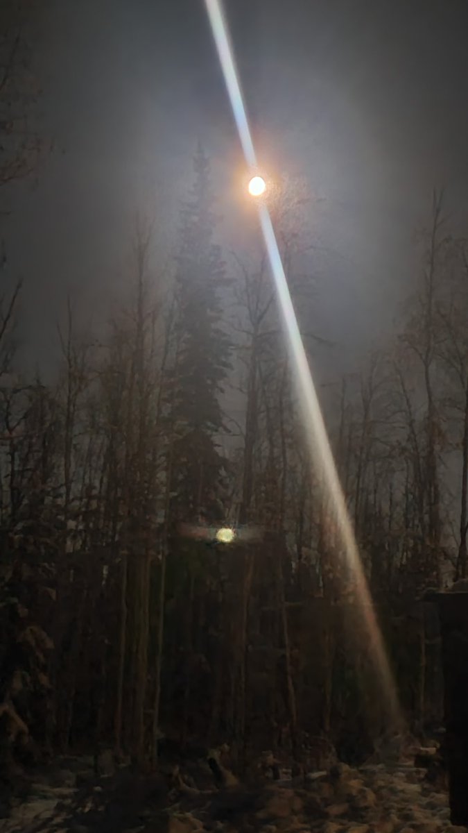 frankofthenorth's tweet photo. #indigenouscreature spots the moon, takes a photo https://t.co/gXPKIkJTHo
