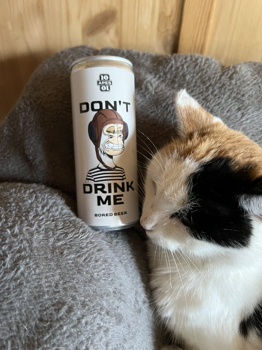 Gm, cat- and beerlovers! <a href="/BoredApeYC/">Bored Ape Yacht Club 🍌</a>