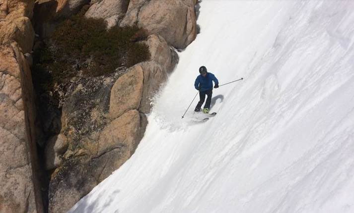 Michael Shields tweet media