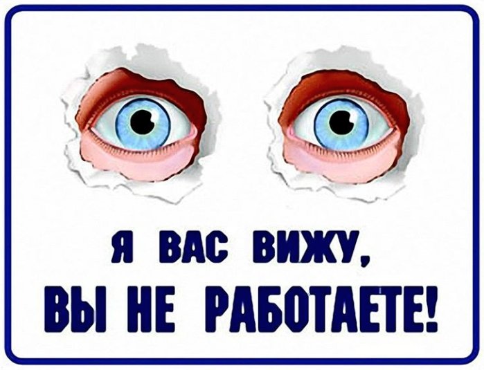 Магомед Магомедов tweet media