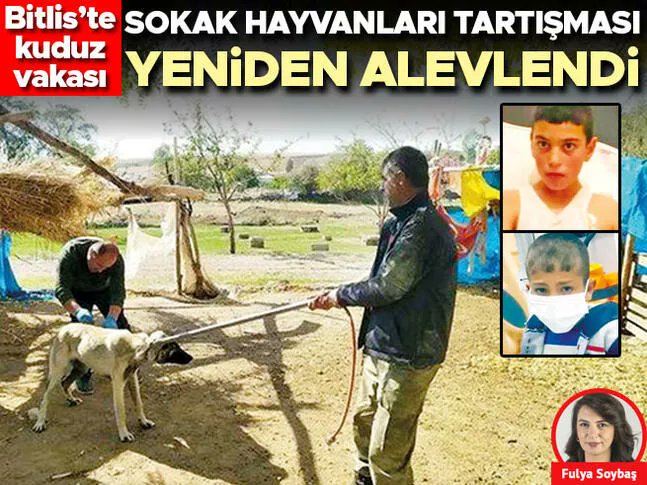Fulya Soybaş yazdı: Sokak hayvanları tartışması yeniden alevlendi

<a href="/fulyasoybas/">fulyasoybas</a>
hurriyet.com.tr/yazarlar/fulya…