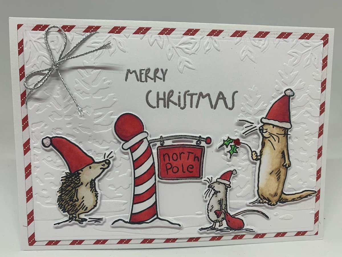 BlingCottage's tweet photo. Simple Christmas cards with embossed backgrounds and a mix of Anita Jeram and Kris Lauren critters from Colorado Craft. 

Too cute.😍

#anitajeramstamps  
#krislauren
#coloradocraftcompany https://t.co/FtcbWar4PU