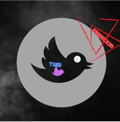 Woooolala1's tweet photo. #3 Just like @TWB_Game , we (the pink twitterbird carrying #TWB) will fly through all obstacles and achieve our goal as no1 Play2Earn game https://t.co/rUuwvPMySZ