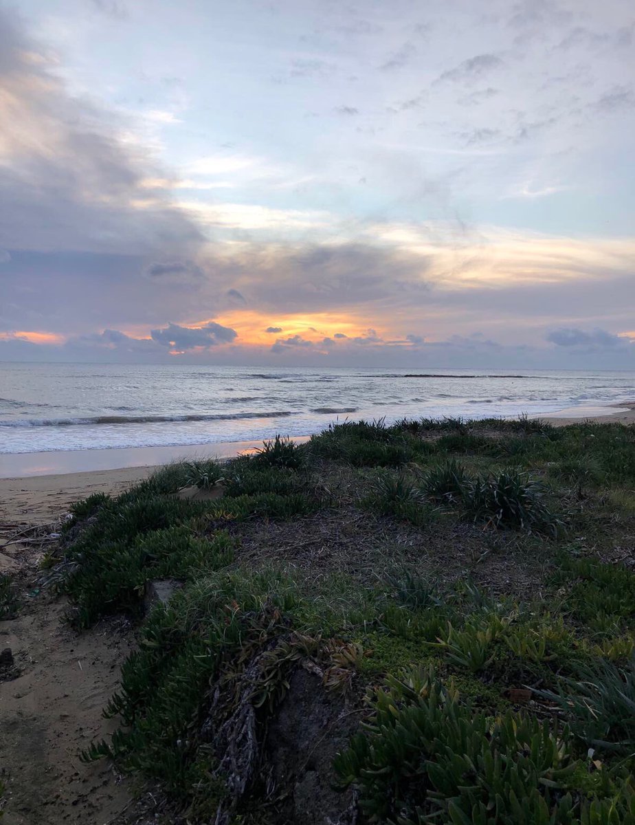 eleutheria tweet media