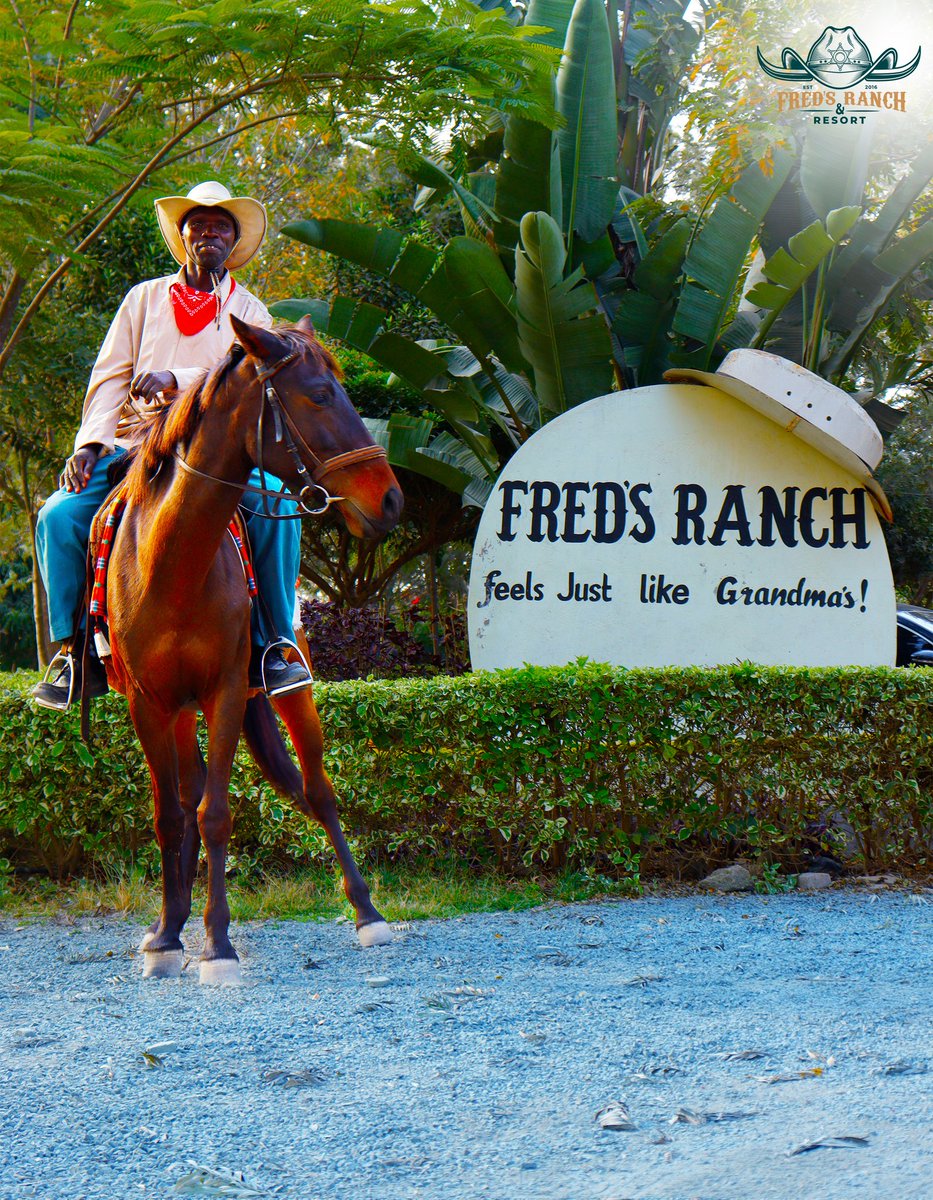 FredsRanch's tweet photo. Just another day in paradise.
Join us at @Freds_Ranch today and enjoy our paradise at the heart of Kajiado🥰
Call us on 0792564243 to book your spot

#paradise #ranching #kenya #kajiadocounty #nairobi #horse https://t.co/uYShveFEhc