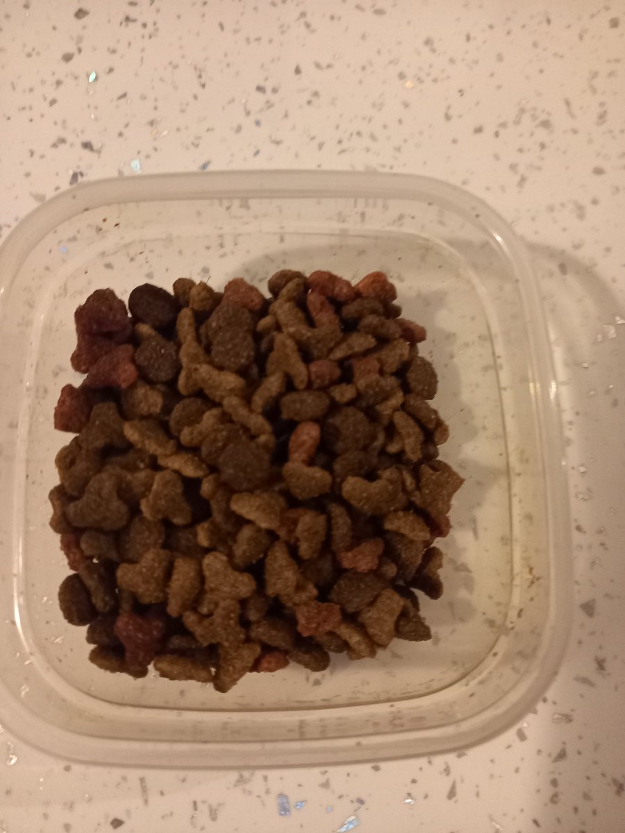 hannah creasy tweet media