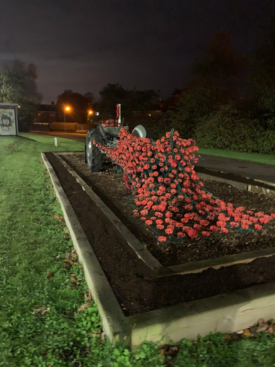 Yesterday saw Comber ACF and Friends of Comber ACF set out a poppy cascade around The Tractor flowerbed in the town. Made up of recycled bottles and crocheted poppies in the shape of a wreath.