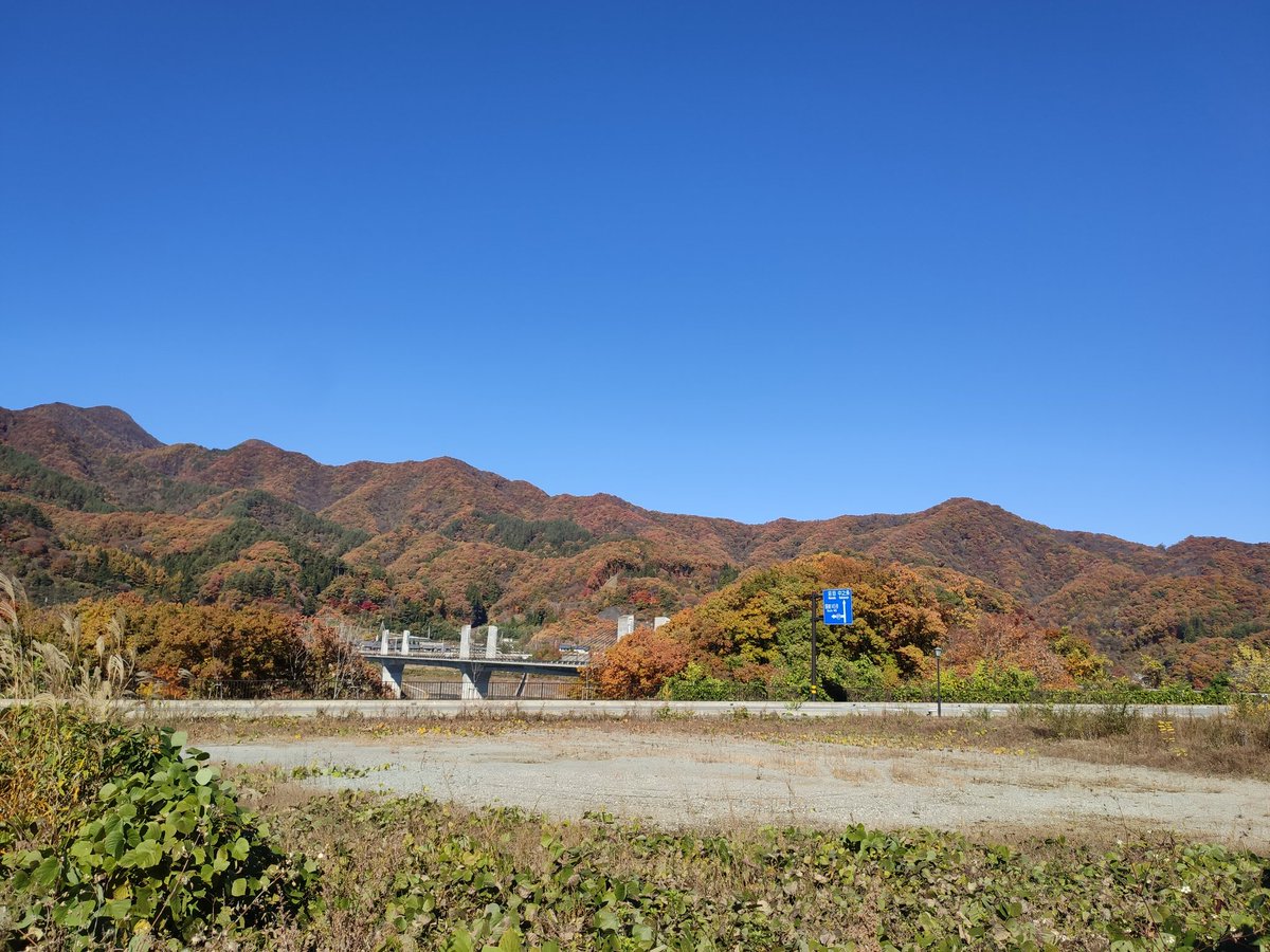 maaaaakunchan's tweet photo. 無事に脱パン。
渋峠まで行こうとするも燃料の残量にビビり山田峠にて引き返し。数年ぶりな紅葉狩りツーリングになりました。
#CBF1000 https://t.co/q1yv3rTDau