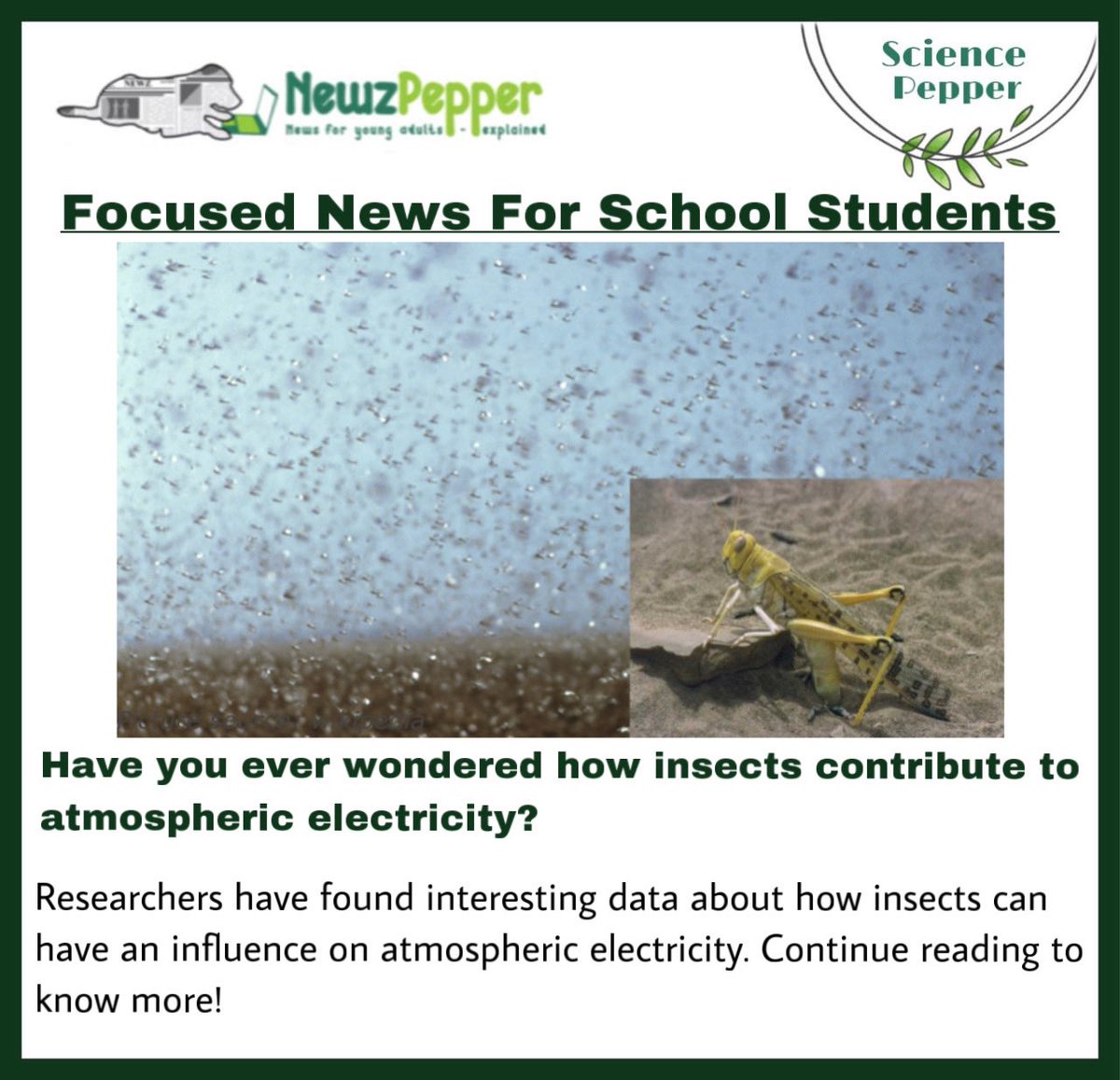 To read the full article, visit newzpepper.com!

#indianschools #news #newsupdate #newspaper #dailynews #dailynewspaper #follow #instadaily #instagram #insects #electricalcharge #electric #energy #atmosphericelectricity