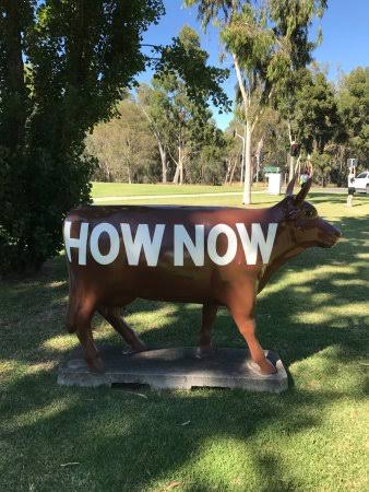 Drove past this masterpiece today! 
Make sure you seize the moo-ment 🐄