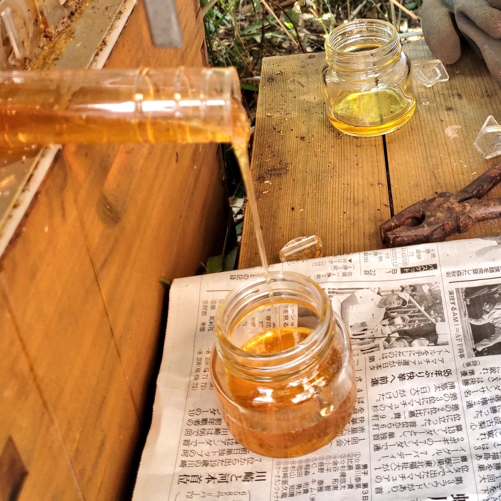 Lynx0341's tweet image. フローハイブの巣箱から
ありがたくちょうだいしました(*´∀人)
#teambee
#世田谷のはちみつ