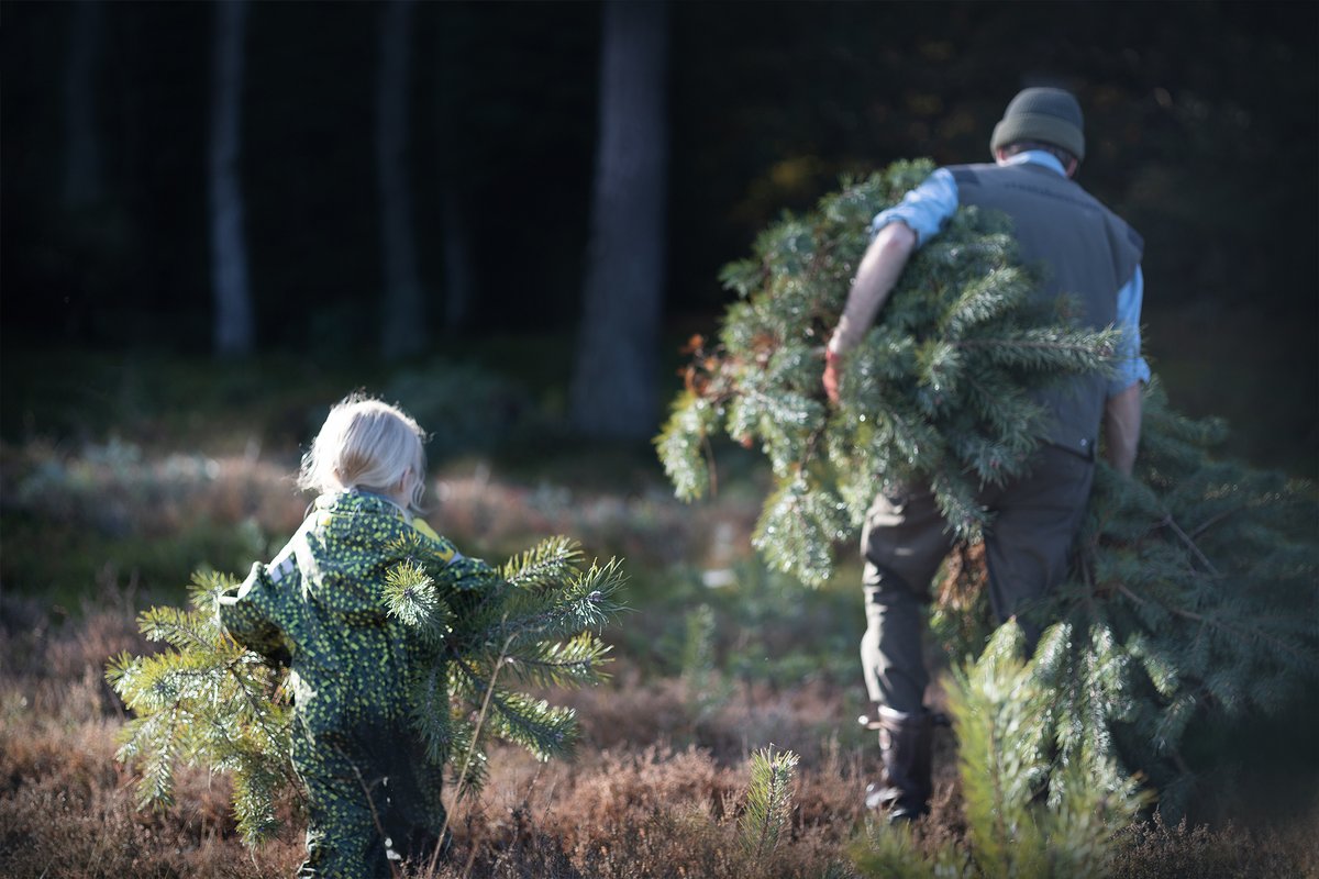 Wat een sfeervolle #natuurwerkdag gisteren.. Dankzij de vrijwilligers is de heide van de Hoekenbrink weer heel wat grove den armer.