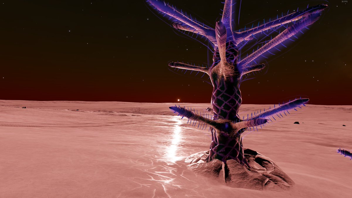 AceExploration's tweet photo. Cmdr Wags Star Hunter shows a strange &amp; stark view of irridescant fauna at dawn/dusk

#StellarScreenshots #EDPostcards #EliteDangerous #EliteDangerousOdyssey #elitedangerousphotography #puckfutin https://t.co/mYprjaGw00