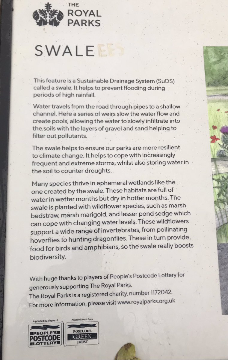 Miss Slater tweet media